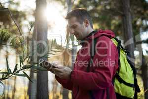 Man using digital tablet in forest