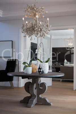 Various pot plant and chandelier in living room