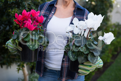 Woman holding pot plant in garden