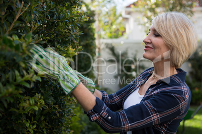 Beautiful woman pruning plants in garden