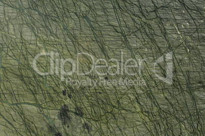 Abstract natural dark green marble for background design.