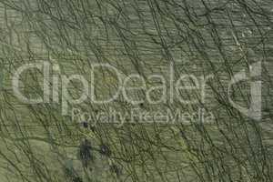 Abstract natural dark green marble for background design.