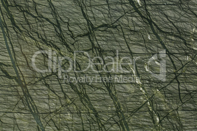 Detailed structure of luxury green marble in natural patterned f