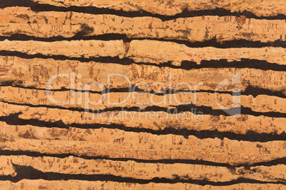 Large cork board texture or background.