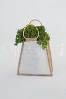 Bag of leafy vegetables