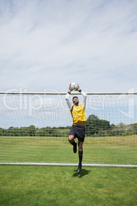 Goalkeeper save the goal