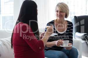 Female friends interacting with each other while having tea