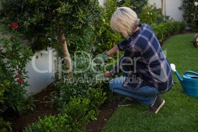 Woman pruning plants in garden