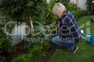 Woman pruning plants in garden
