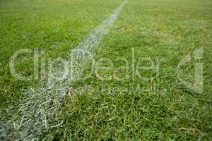 White marking on green grass at football stadium