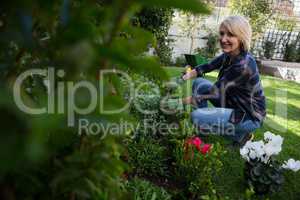 Portrait of happy woman pruning plants