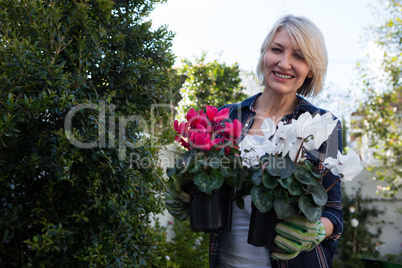 Portrait of woman holding pot plant in garden