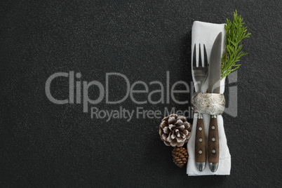 Fork, butter knife, fern and napkin with pine cone