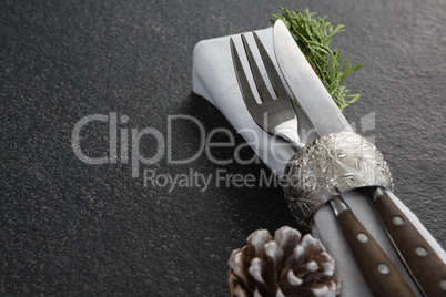 Fork, butter knife, fern and napkin with pine cone
