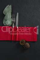 Fork and butter knife with leaf, pine cone and napkin