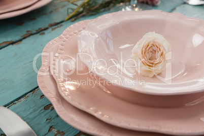 Close-up of rose in bowl