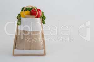 Bag of healthy vegetables