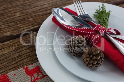 Cutlery with nakin and fern tied up with ribbon in a plate