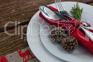 Cutlery with nakin and fern tied up with ribbon in a plate