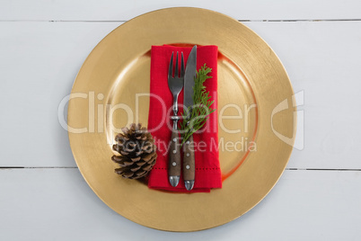 Cutlery with napkin, fern and pine cone in a plate
