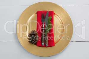 Cutlery with napkin, fern and pine cone in a plate