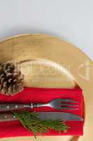 Cutlery with napkin, fern and pine cone in a plate