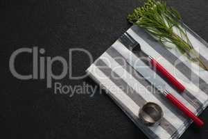 Napkin ring, flora and cutlery on folded napkin