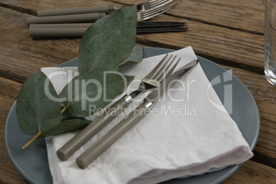 Plate with cutlery set, napkin and leaf