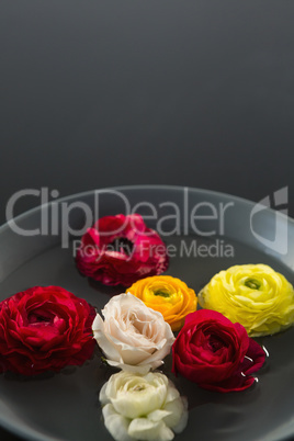 Red, white and yellow roses in glass bowl with water