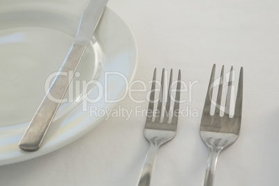 Fork and butter knife with plate