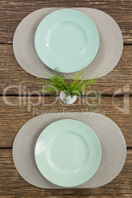 Empty plates with plant on wooden table