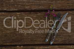 Fork and butter knife with flower on wooden table