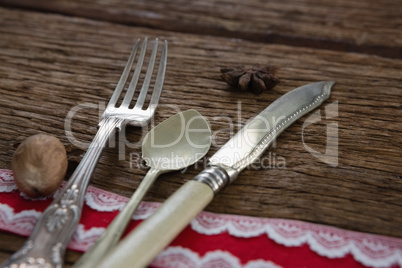 Cutlery with star anise and nutmeg