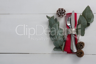 Pine cone with leaf and cutlery on white background