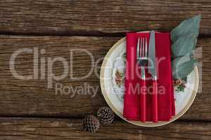Pine cone with fork, butter knife, napkin and leaf in a plate