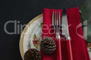 Pine cone with fork, butter knife, napkin and leaf in a plate