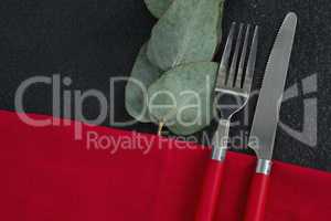 Fork and butter knife with leaf and napkin
