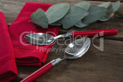 Spoon and leaves on red napkin