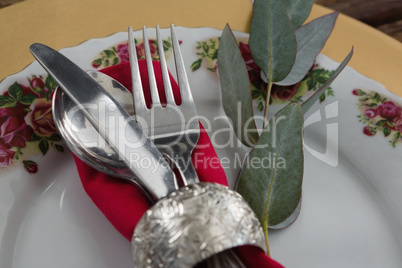 Cutlery with napkin and leaf in a plate