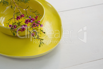 Bowl and plates with flower on white background