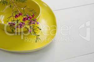 Bowl and plates with flower on white background