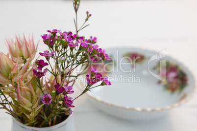 Flower with modern bowl