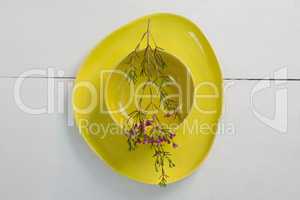 Bowl and plates with flower on white background