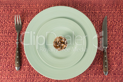 Pine cone on a plate with fork and butter knife