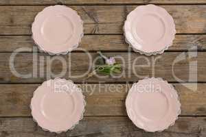 Plates with rose flower arranged on wooden table
