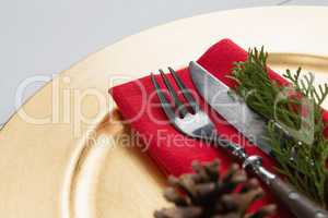 Cutlery with napkin, fern and pine cone in a plate