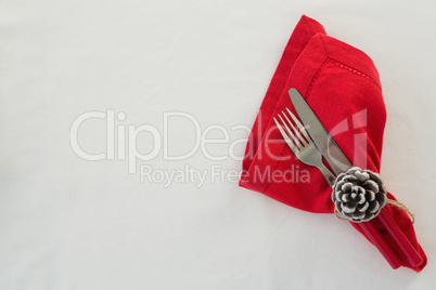 Fork, butter knife and pine cone tied with napkin