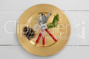 Pine cone with cutlery tied up with a ribbon in a plate