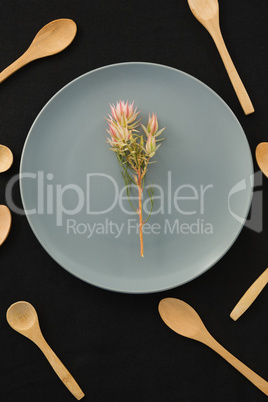 Overhead view of elegant table setting