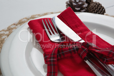 Pine cone with leaf and fork, butter knife, napkin in a plate